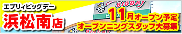 エブリィビッグデー浜松南店 11月オープン オープニングスタッフ大募集
